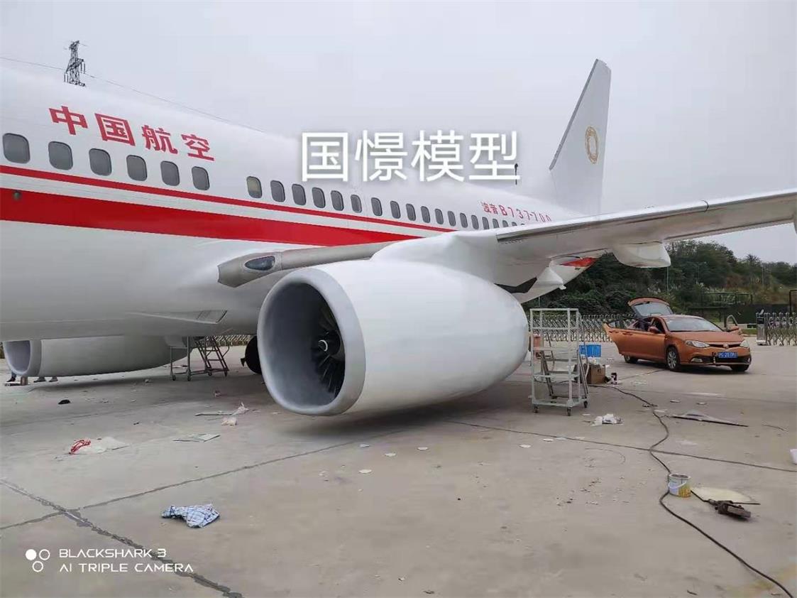 东阿县飞机模型